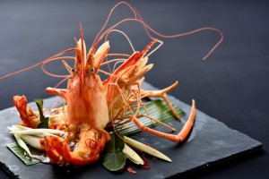 Giant River Prawns_Up & Above