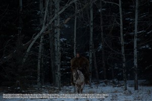 THE REVENANT