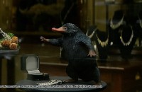 Niffler