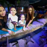 SEA LIFE_Baby Creatures (9)