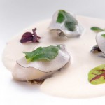 Elements_White Asparagus veloute poached oysters, mitsuba and smoked daikon