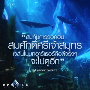 AQUAMAN_Review_Pookloveritz