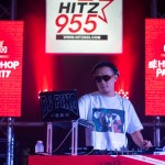 Hitz 955-163