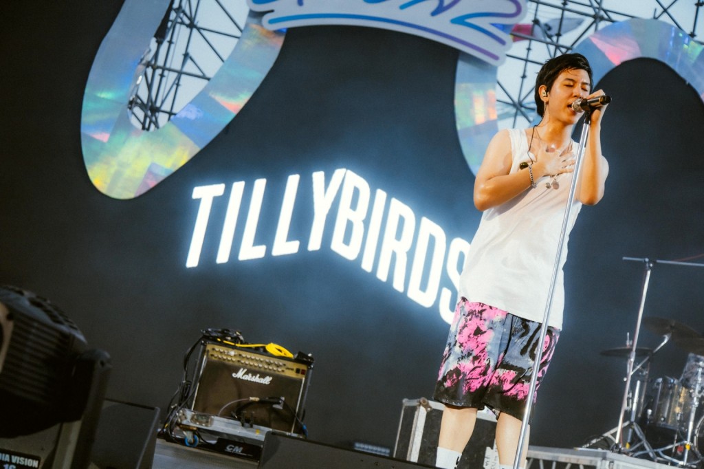 4 TILLYBIRDS