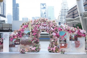 10.Downy Blooming Bangkok