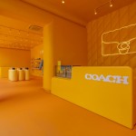 16_The Coach Tabby Shop